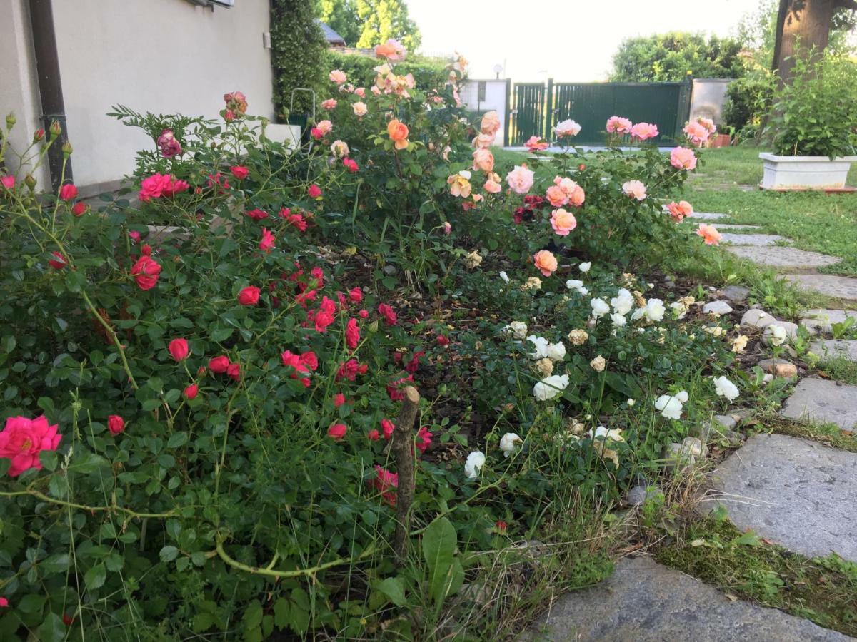Elleboro Bed & Breakfast Carugo Dış mekan fotoğraf